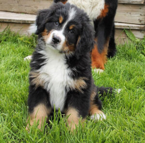 IMG_6505